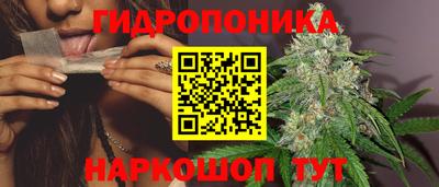спайс Кунгур