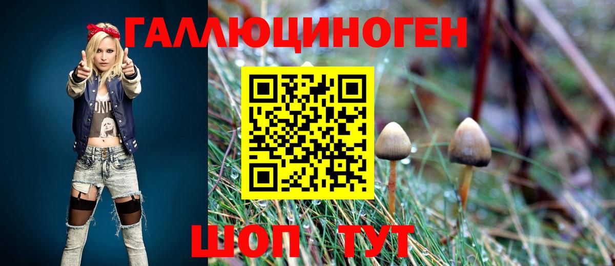 Псилоцибиновые грибы мухоморы Каспийск